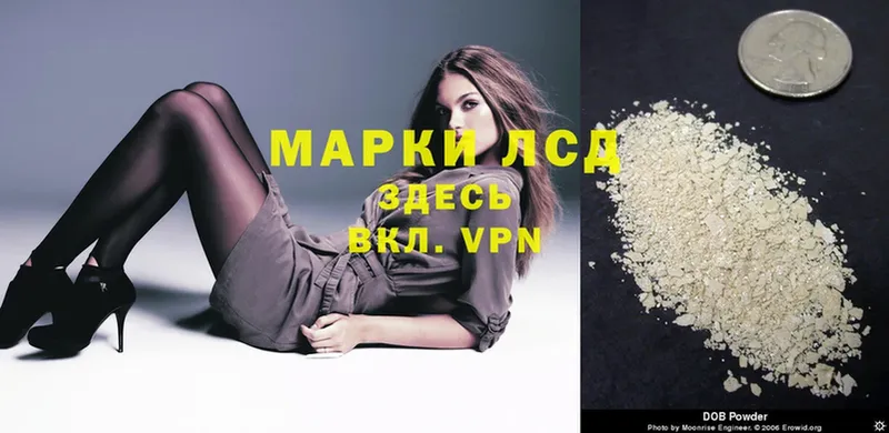 площадка состав  Будённовск  Лсд 25 экстази ecstasy 